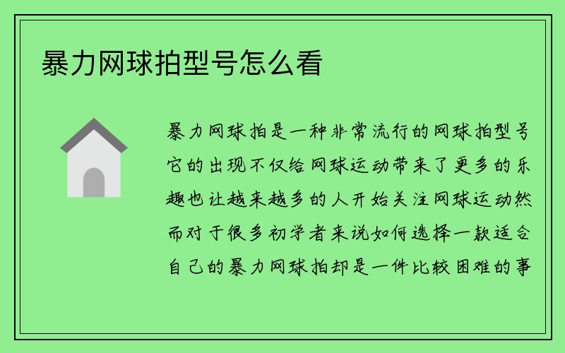 暴力网球拍型号怎么看