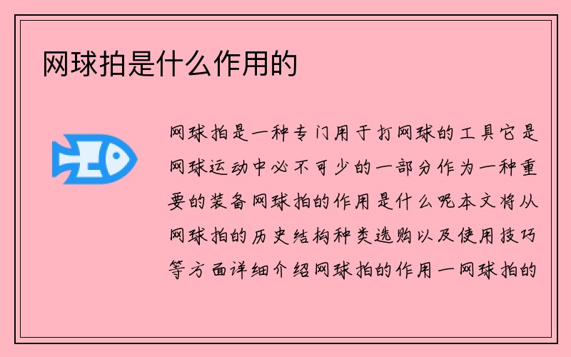 网球拍是什么作用的